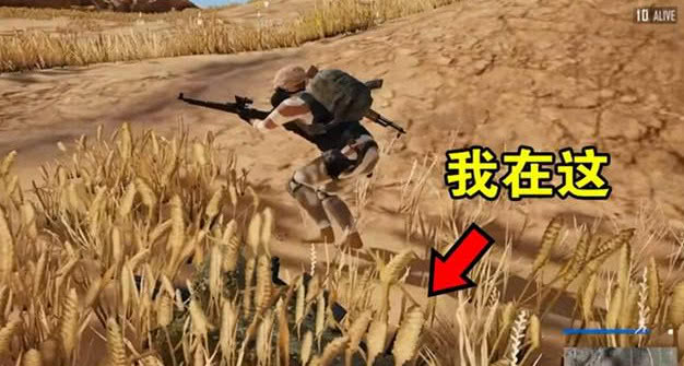 绝地求生:伏地魔等级测评,三级伏地魔只会趴着,特级可以隐身