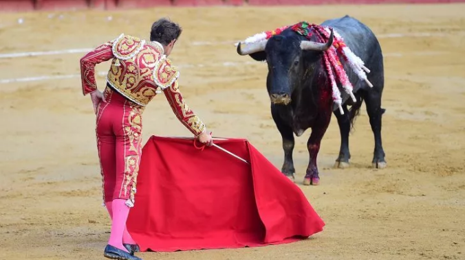 西班牙斗牛士杀牛前为其擦泪斗牛精神还是虐待狂