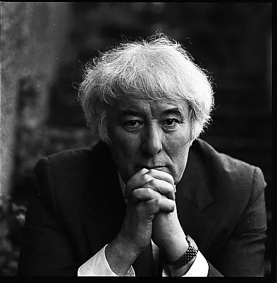 爱尔兰土地诗人谢默斯61希尼八十诞辰