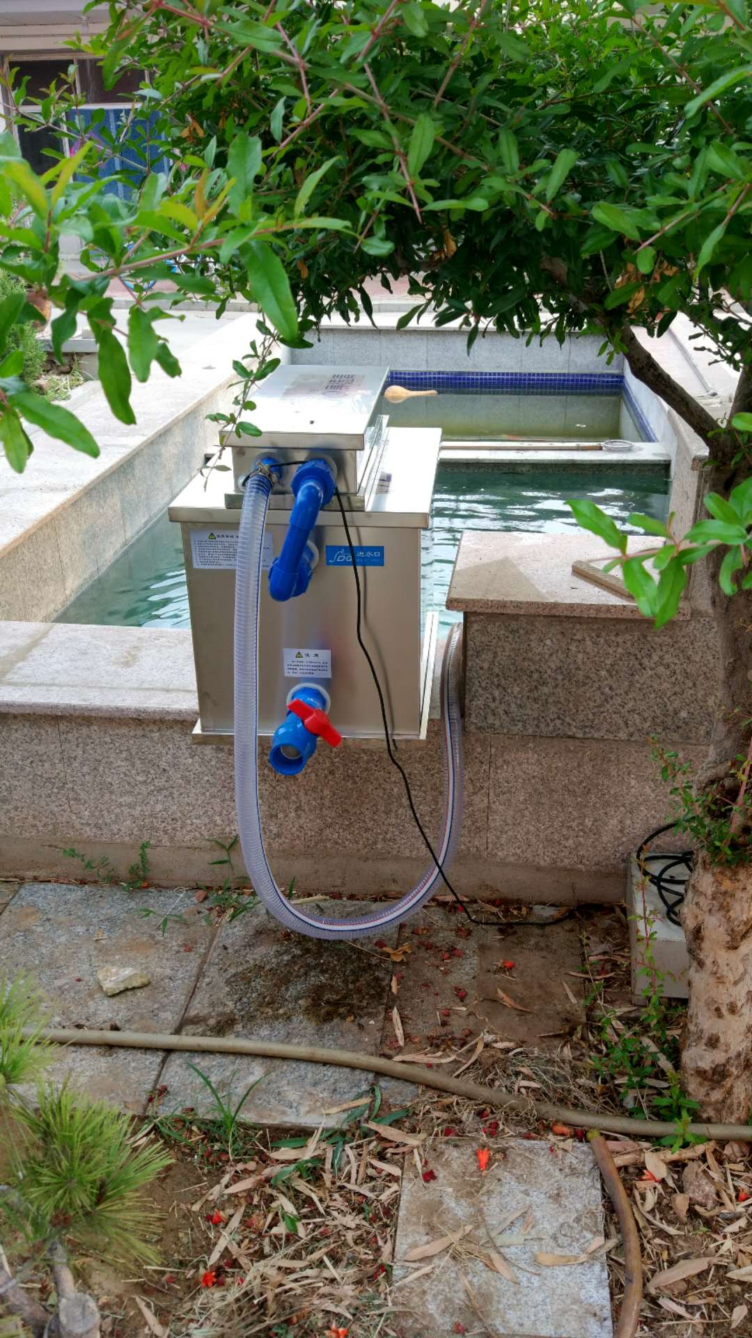 室外鱼池养水技巧水清鱼跃之奥秘