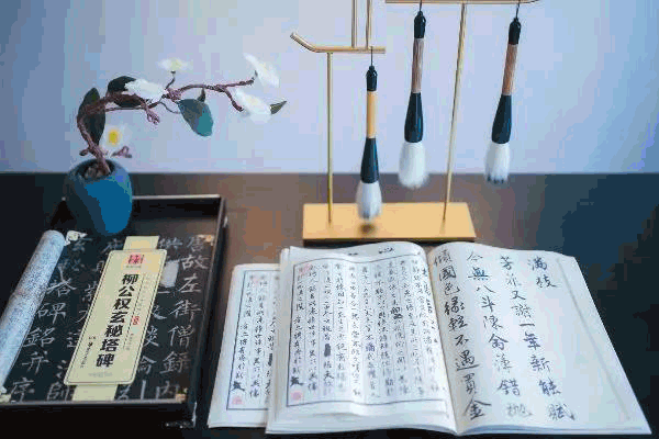 中南·淄江府—府立淄江 水墨归堂 | ted社区与齐国故都的完美邂逅