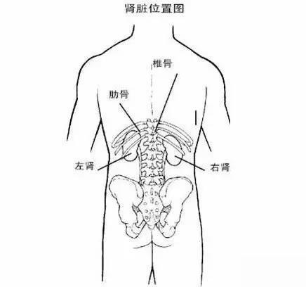 腰痛和肾痛