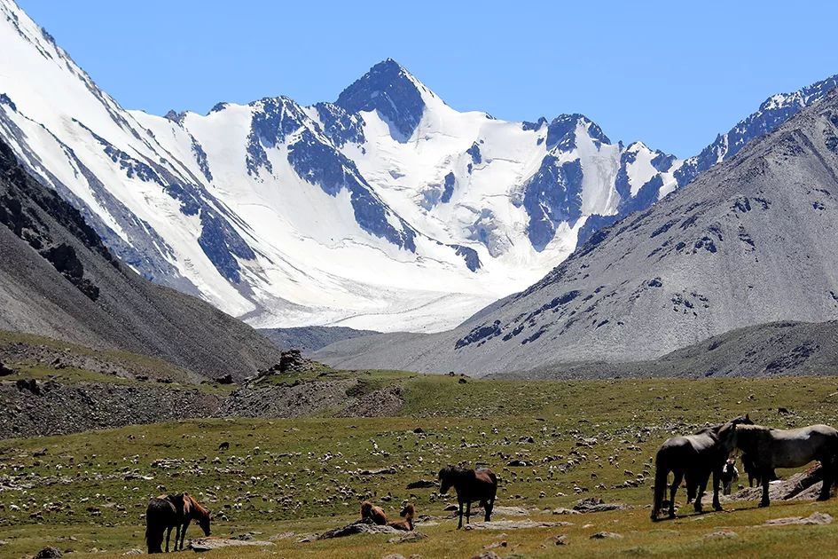 【丝路名城 甜美哈密】水空一色!雪莲争芳!带您领略亚洲最大平顶冰川