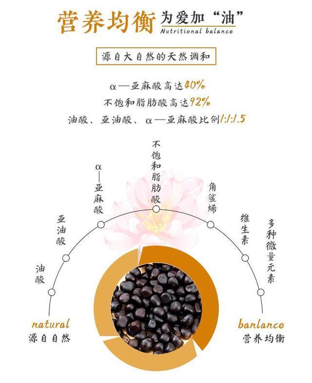 菏泽牡丹简介图片