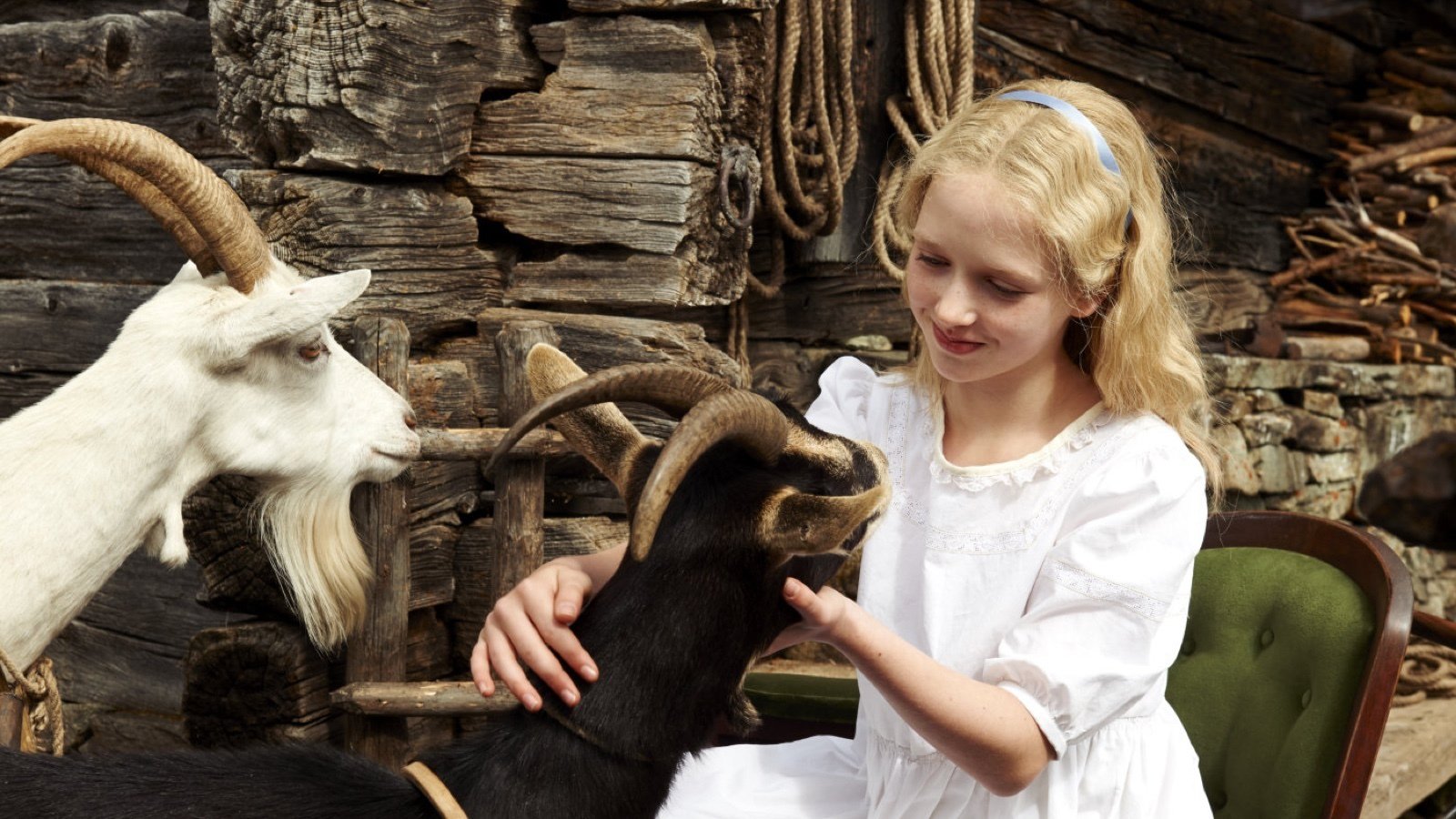 《海蒂和爷爷》点映口碑五月最佳 零差评获赞“年度最治愈”