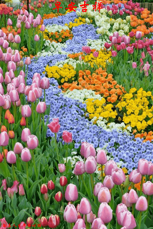 640_960竖版 竖屏gif 动态图 动图