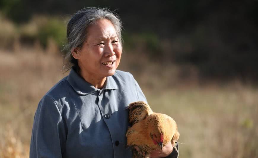 她62岁进入演艺圈,被称"中国最贵女演员",知道她儿子是谁吗_苇青