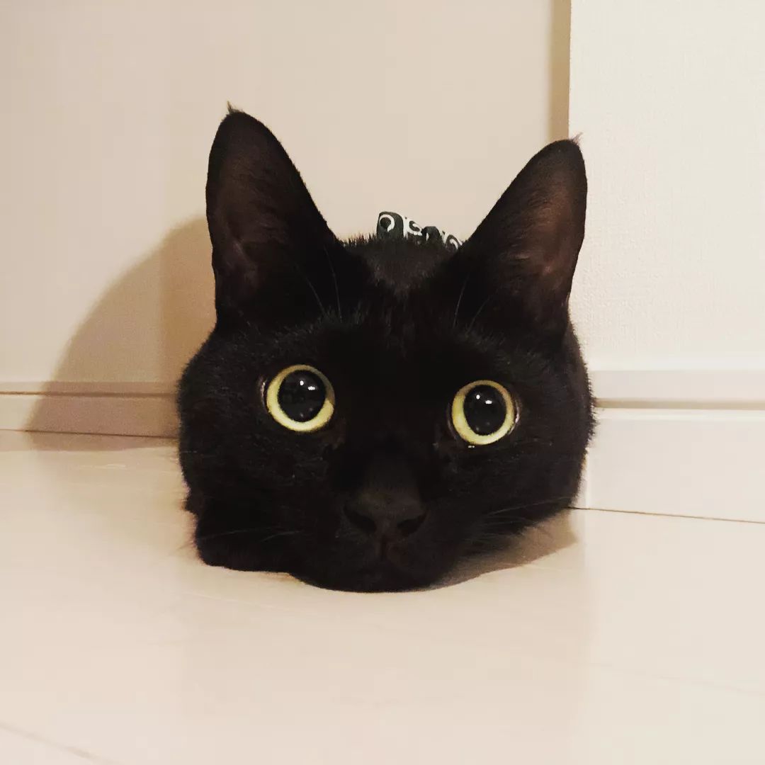 ins新晋男神又黑又胖却让网友们大呼我可以