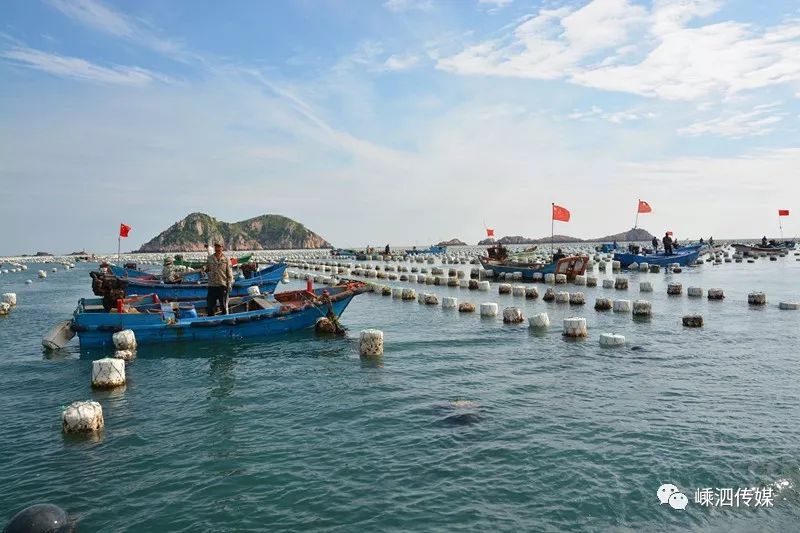 枸杞乡从零破案到零被盗小黑盒子了解一下