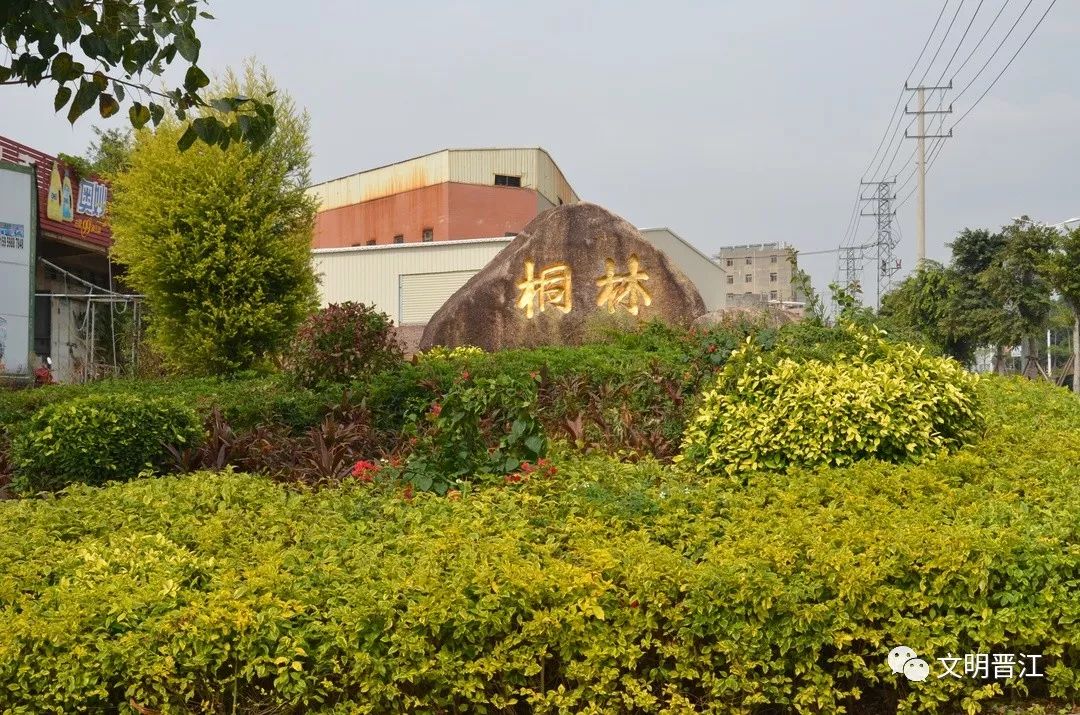 晋江安海桐林村简办佛事活动