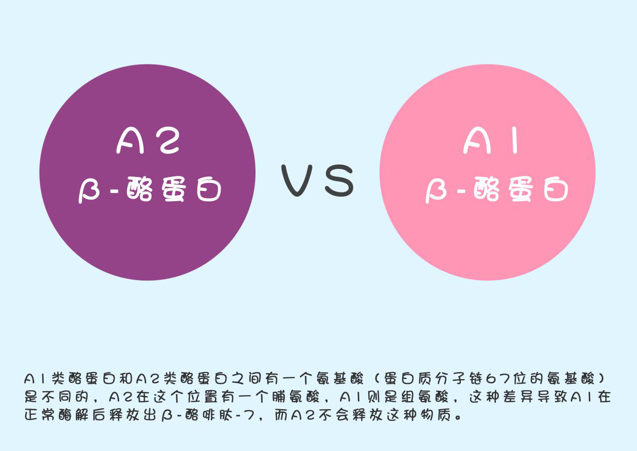 a2β-酪蛋白真有这么好吗?4款热门a2β-酪蛋白奶粉全面测评