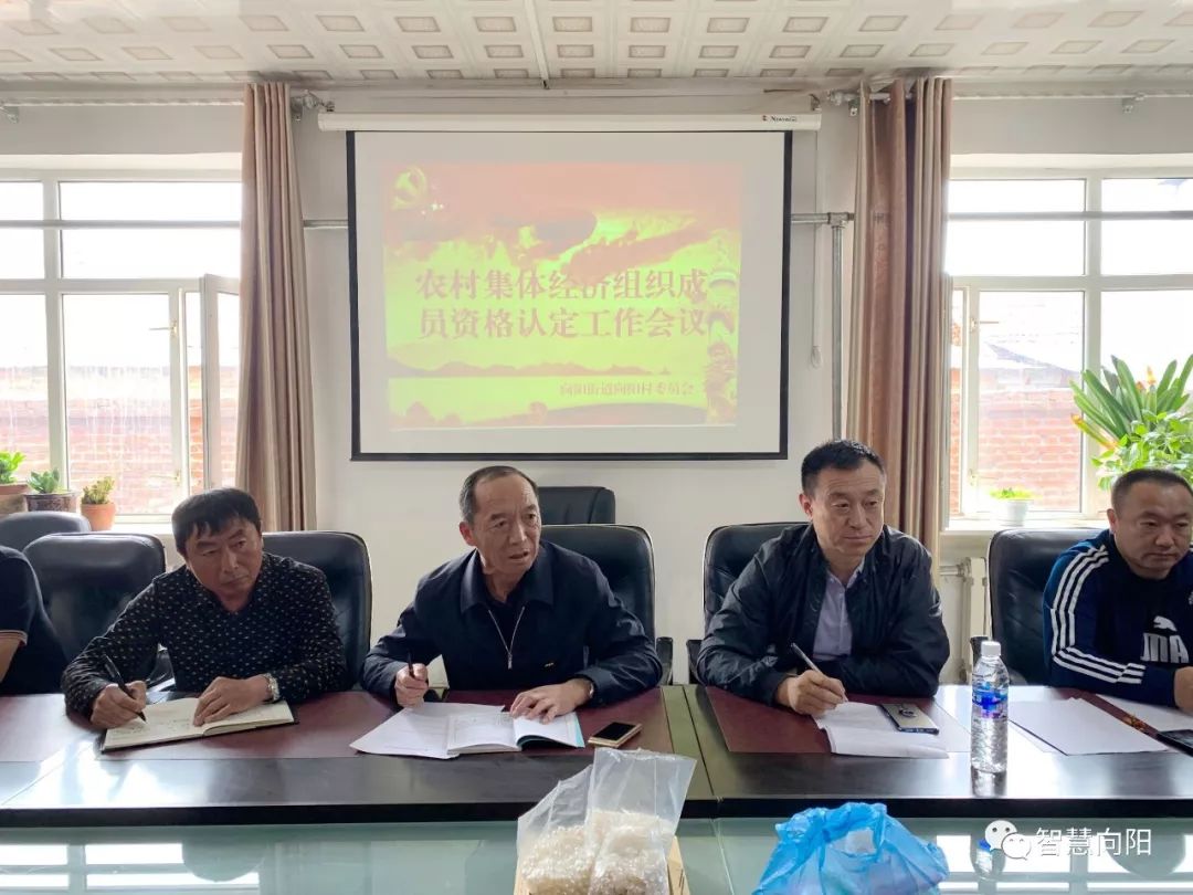 向阳村动态向阳村开展农村集体经济组织成员资格认定工作会议