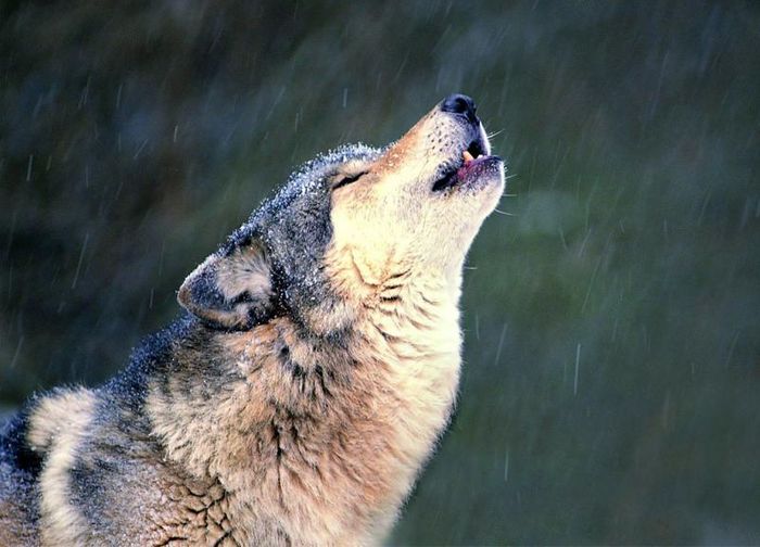 如果法律禁止明星代言广告,会不会最大限度的减少偷税漏税