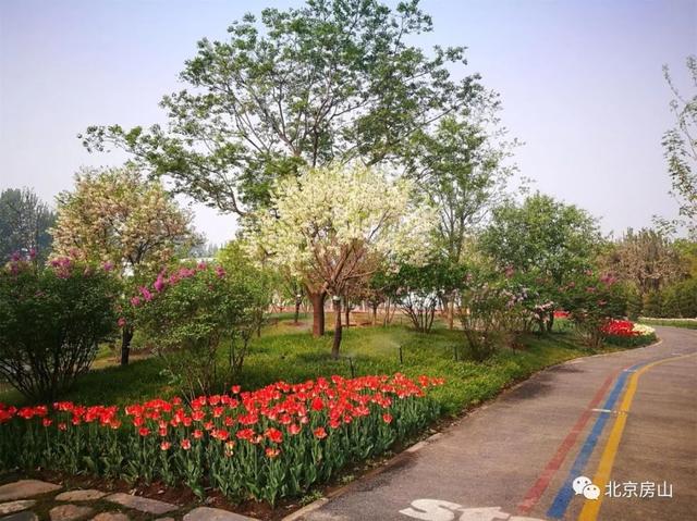 北京京林园林(北京京林园林集团属于国企吗)