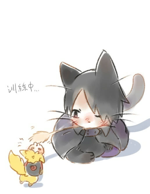 火隐忍者佐助变身小猫咪老夫的钢铁心都被萌化了