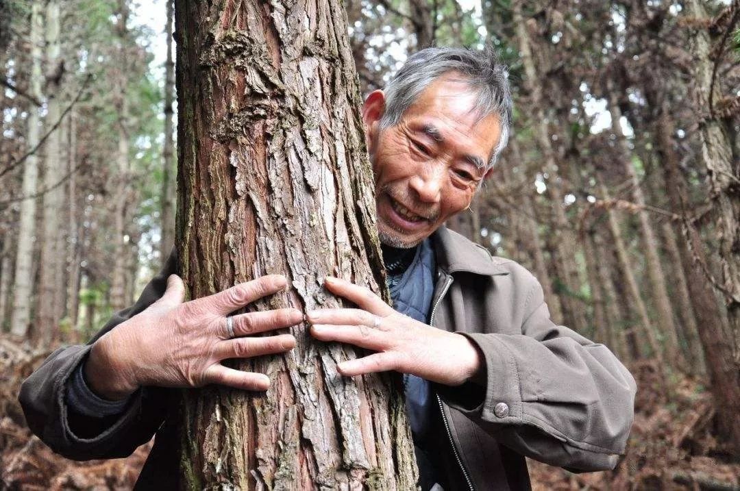 天南海北遵义人 魏发府:1150亩山林守护人