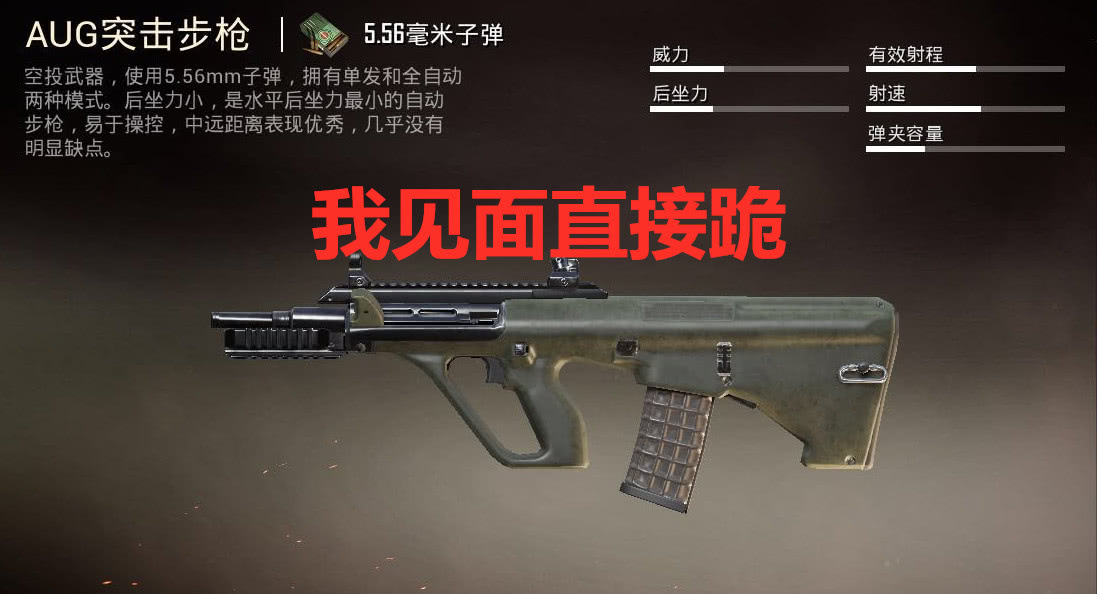 有这样一把枪m416见面就凉aug见面就死狗杂也刚不赢