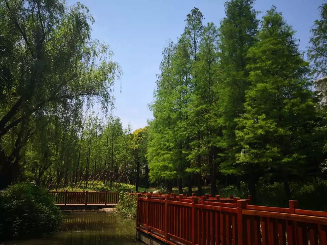 宝山长江水岸又添好风光~这个公园景观升级啦!| 乐游宝山