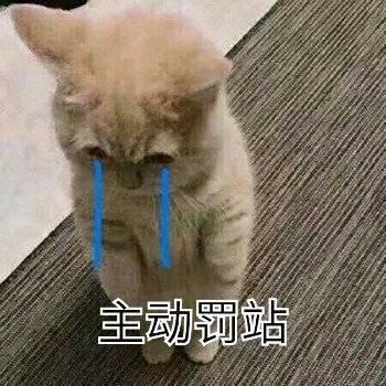 道歉的表情包|我道歉,对不起,你不要sen气了