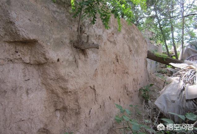 沂源县大张庄镇南村围子墙建于什么年代?