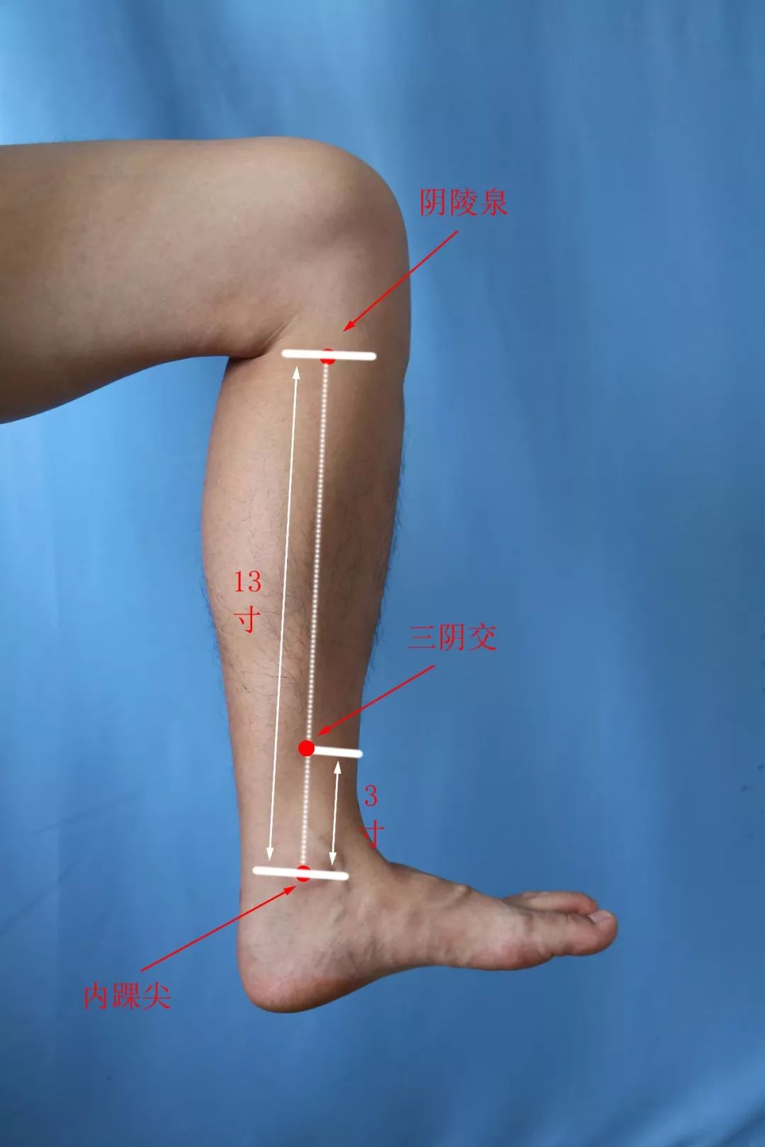 3三阴交穴定位:在小腿内侧,内踝尖上3寸,胫骨内侧面后缘