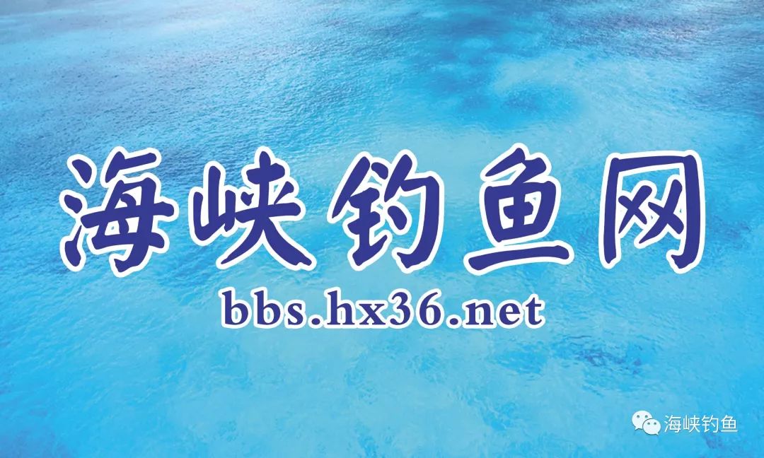 2019化氏ftt上海站鱼情及指定用饵推荐配方公示
