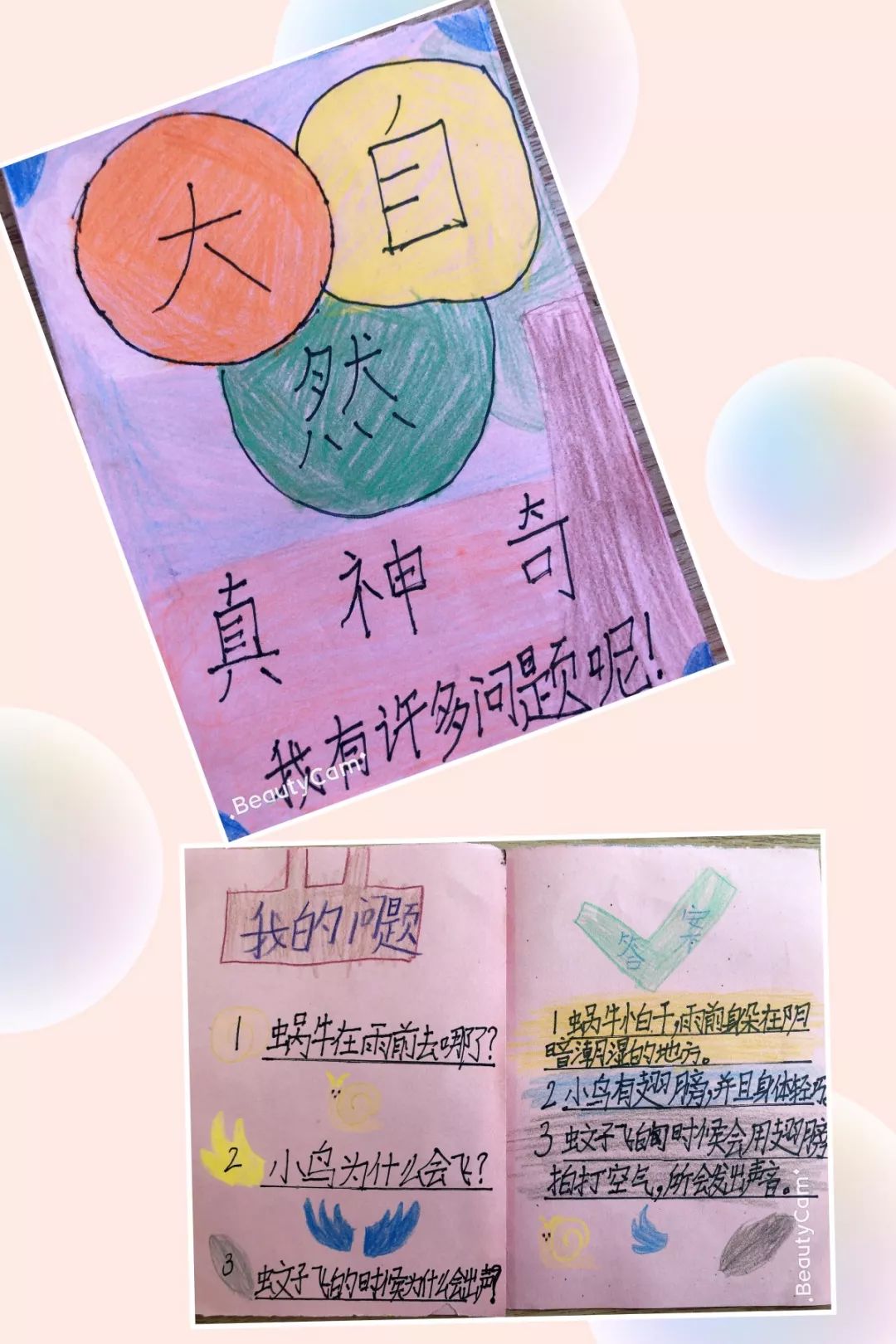 提升思维层级发展提问能力暨二年级语文组大自然的秘密整合活动