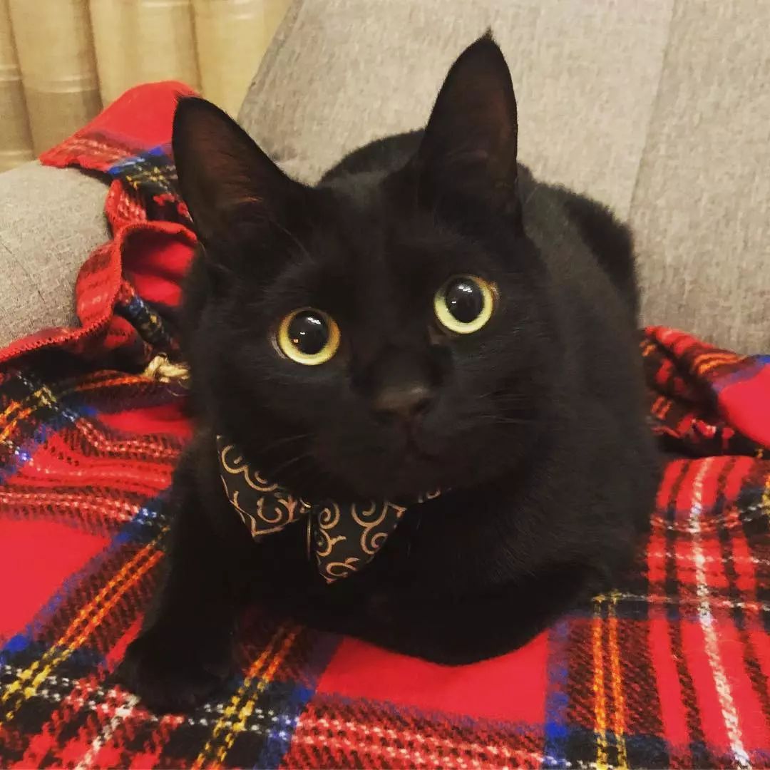 ins新晋男神又黑又胖,却让网友们大呼:我可以!_卡夫卡