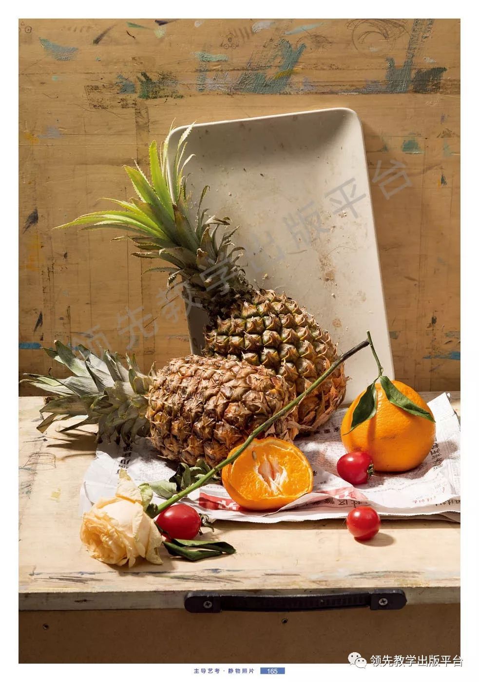 2019【主导艺考·色彩静物照片】震撼上市!