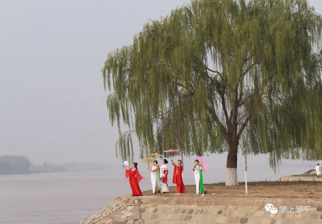 展播美丽海棠花海旗袍俏丽佳人2019中国邹平黄河旅游文化节摄影大赛