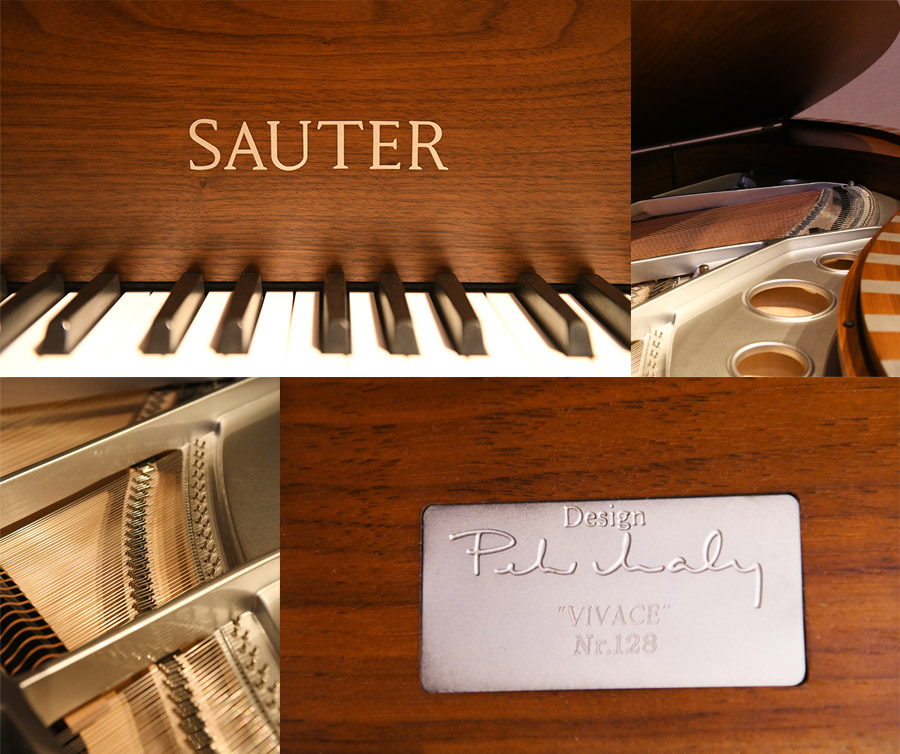 霸气时尚的三角钢琴 | 德国sauter(首德) vivace 210