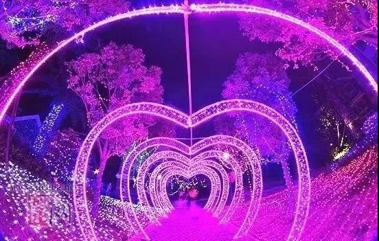 抖音网红节,梦幻灯光秀,5月周浦花海燃爆上海夜!