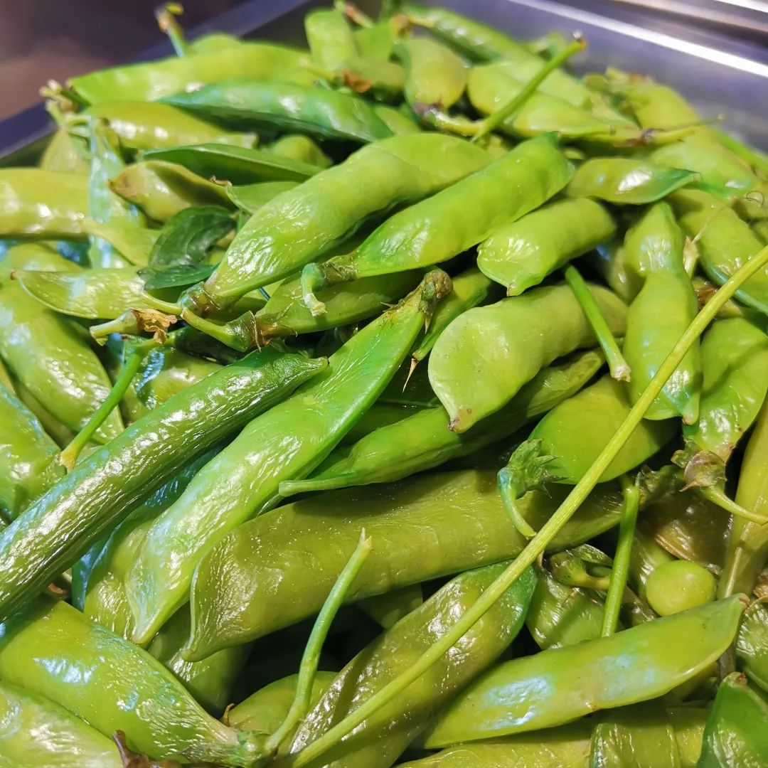 炒田螺,炒花甲,豌豆角,花生……烧烤配菜全都有了!