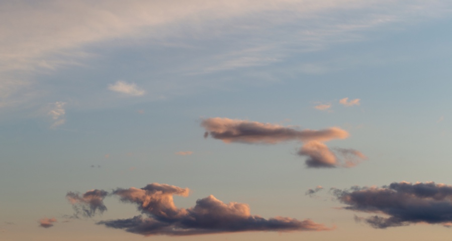 家电渠道的变革不是灭掉代理商：美的海尔格力海信都不会干-家电圈官网