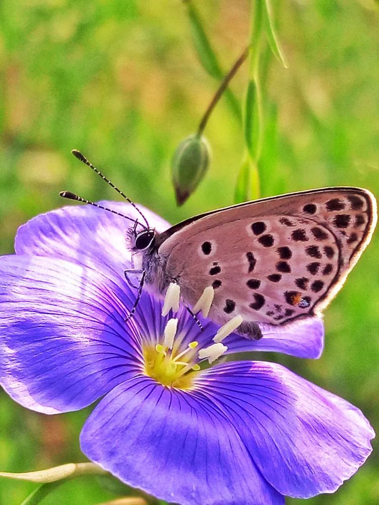 美图分享丨手机摄影【佳片有约】第753期