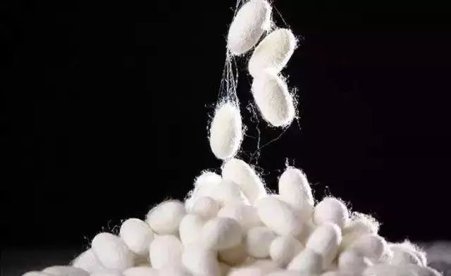 其中,丝蛋白中的色氨酸,酪氨酸能 吸收紫外线,促进皮肤细胞的 新陈