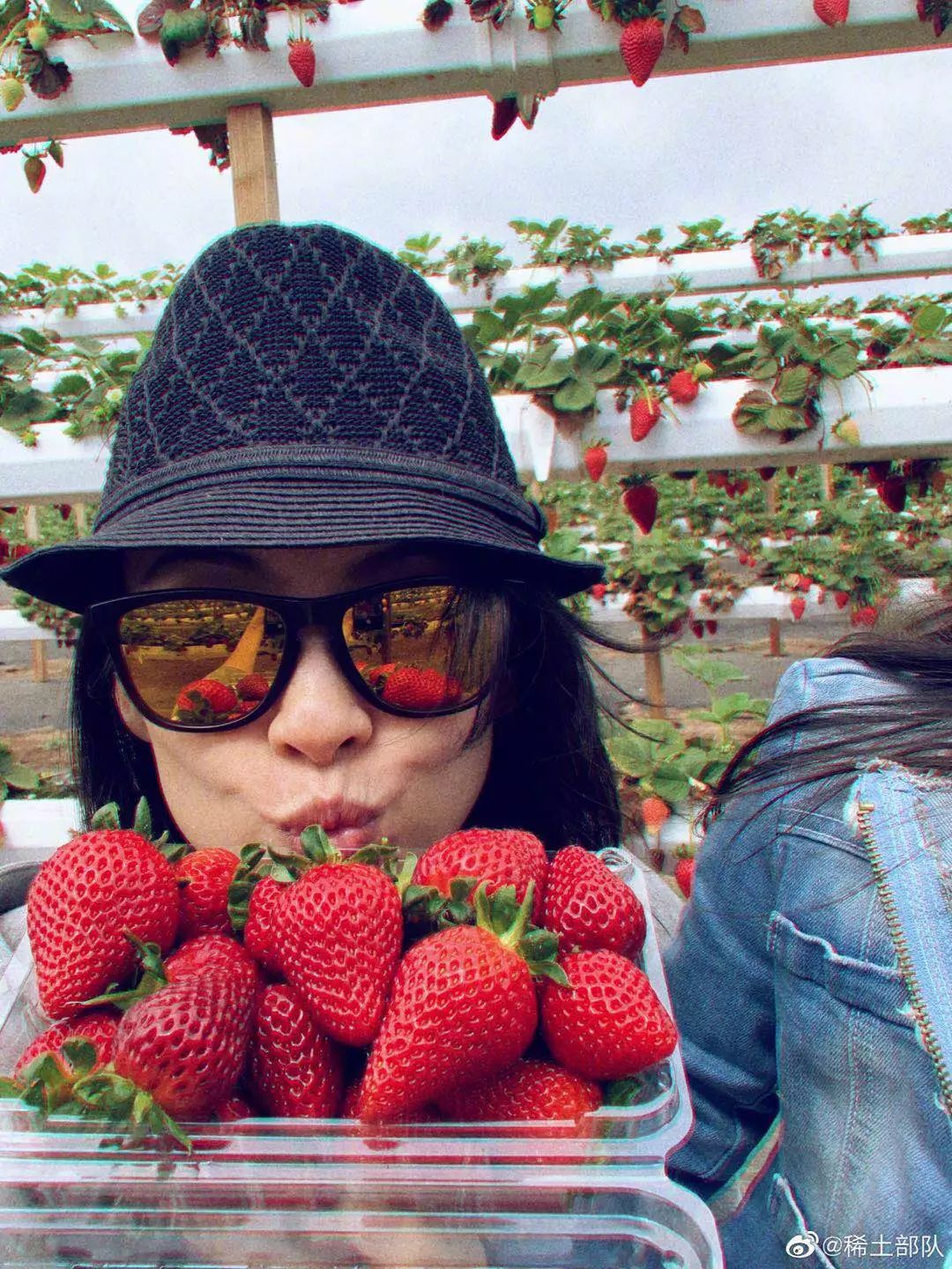 汪正伙伴北京不羡他人亭台楼阁只恋自己一片良田