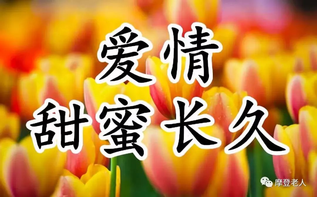 5月15日长久的祝福送给你愿你幸福长久心情欢乐永不休