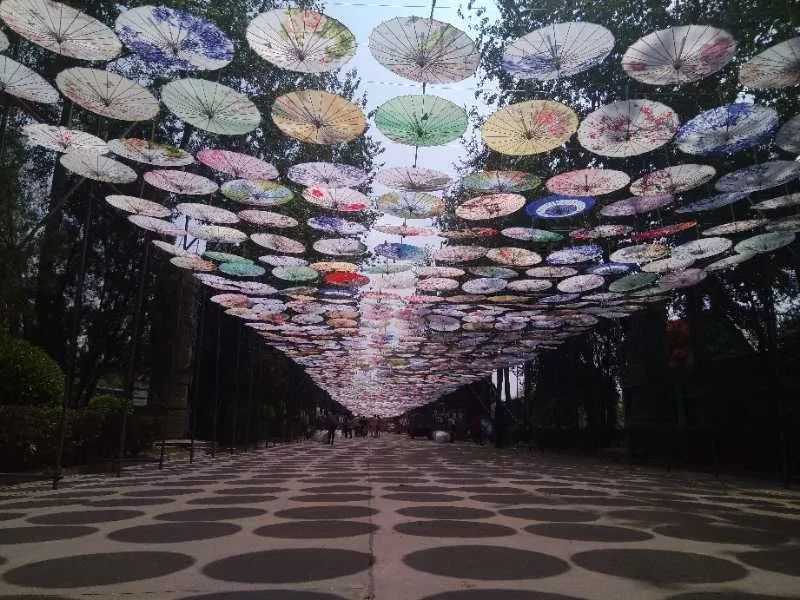 玩民俗,看动物…还有江南油纸伞!