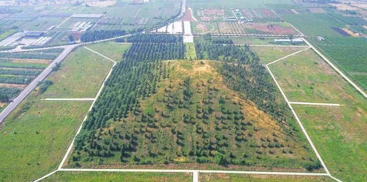 資訊丨厲害了!陝西新增3處文化遺產預備申遺,西漢帝陵,唐帝陵榜上有名