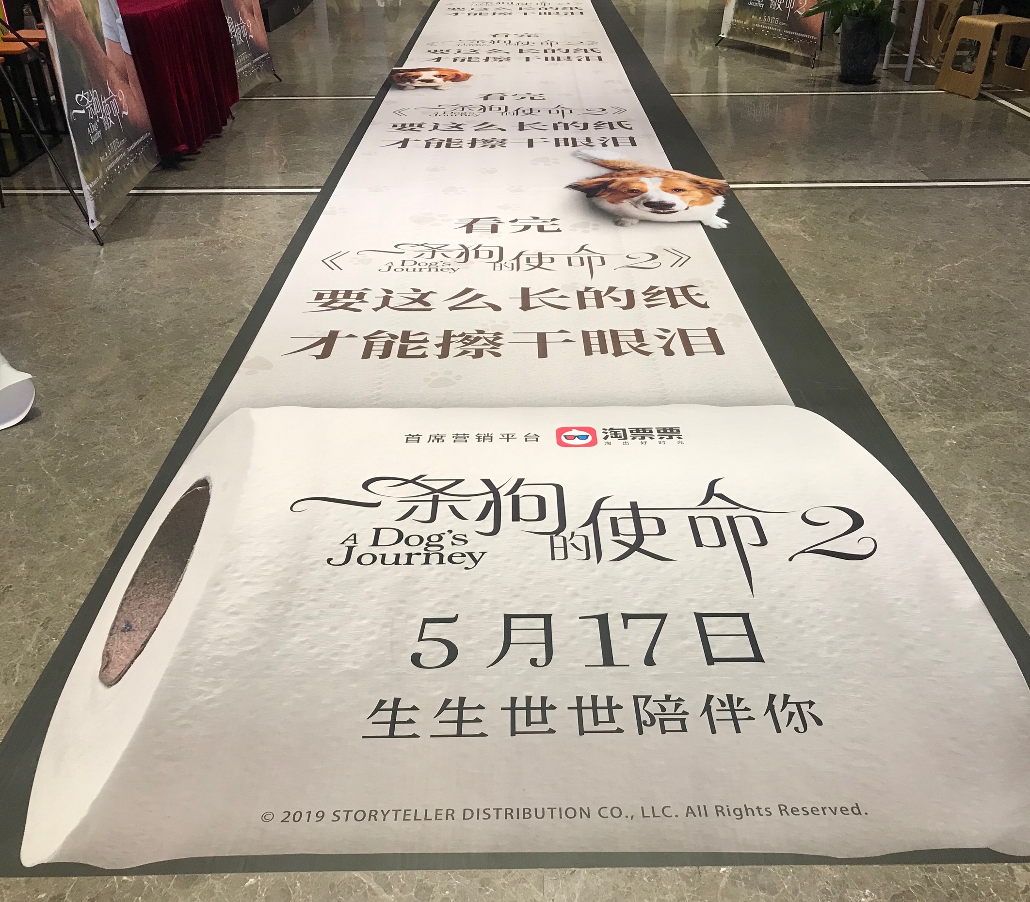 《一条狗的使命2》超前鉴赏，被赞今夏最强催泪弹