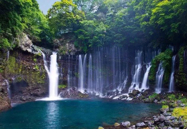 风雷引,寒山僧踪,文王操,不染卧龙吟,秋江夜泊,玉楼春晓梧叶舞