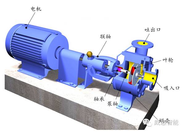 泵的这些知识点你必须了解