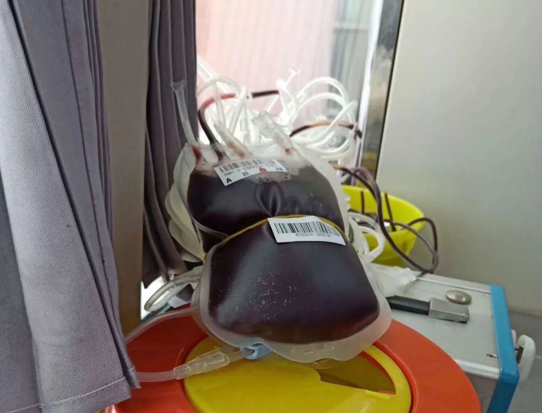 化奉献爱心天使无偿献血者