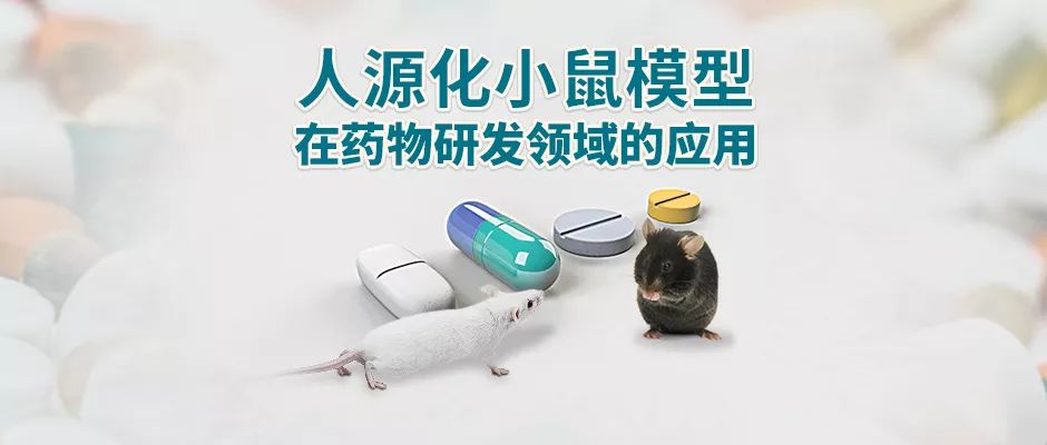 人源化小鼠模型在药物研发领域的应用