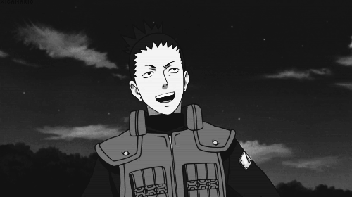 本来准备今年瘦成一道闪电亮瞎你们的眼, 不想竟然胖成了坚果墙挡住了