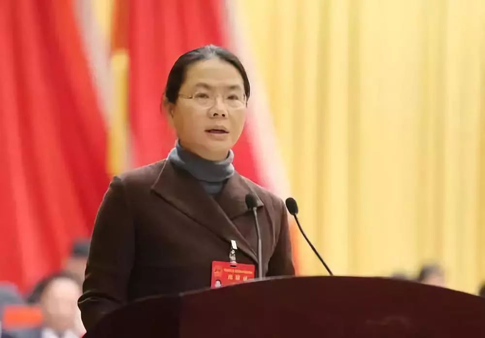 梅州客家妹叶梅芬,辞去河源市长职务,任职仅两年!