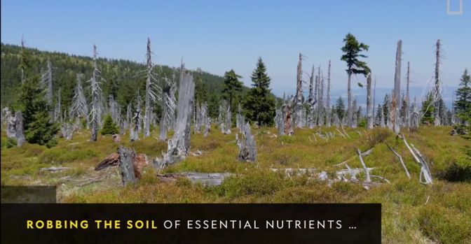 被酸雨腐蚀过的森林 / 国家地理杂志纪录片化学工厂的污水随意排放