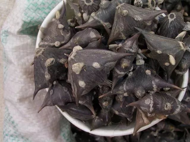 菱角的功效有哪些?竟有五种之多!