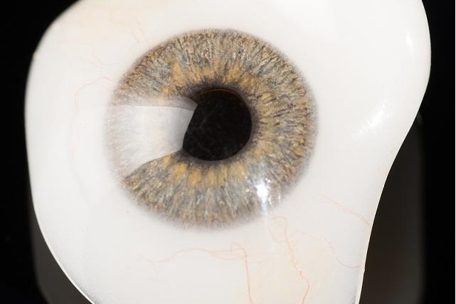 佩戴假眼/义眼?这十一点一定要牢记